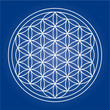 Flower of Life - editable vector lines