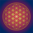 Flower of Life