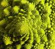 abstract romanesco cauliflower