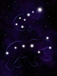 The Great Bear (Ursa Major) and the Little Bear (Ursa Minor)