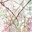 Colorful Grunge Blossom Abstract Colorful Grunge Blossom Abstract