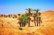 Sahara desert