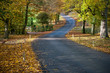 autumn leaves, very shallow focus autumn leaves, very shallow focus