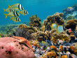 Underwater
