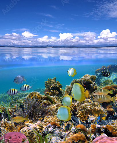 Photo: Sky and sea Sky and sea