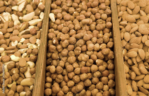 Photo: lots of sorted various nuts lots of sorted various nuts
