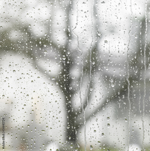Photo: rainy detail in blurry back rainy detail in blurry back