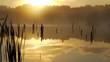 Misty morning sunrise on the marsh