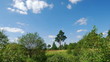 Time lapse clip of clouds over the marsh