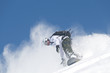 Snowboarder im Pulverschnee Snowboarder im Pulverschnee