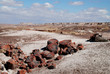 Petrified Forest 2