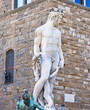 Hercules Statue in Florence