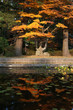 紅葉の姿見