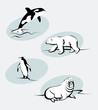 North Animals. Collection of north animals in outline style