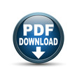 Icon PDF-Dokument blau