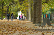 students hurry through parc in autumn