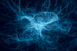 Network of thin glowing fibres
