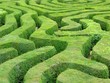 Labyrinth