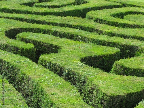 Foto: Labyrinth Labyrinth