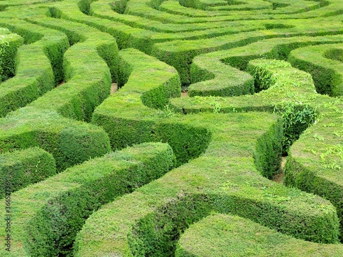 Photo: Labyrinth Labyrinth