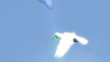 decorative flying pigeon with flowers and trees decorative flying pigeon with flowers and trees