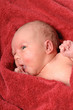 newborn baby after bath newborn baby after bath