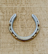 Lucky Horse shoe.