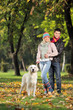 A smiling couple and their dog posing in the park