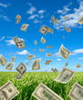 Dollars on background sky and herbs.