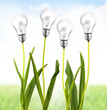 Ecological energy Ecological energy