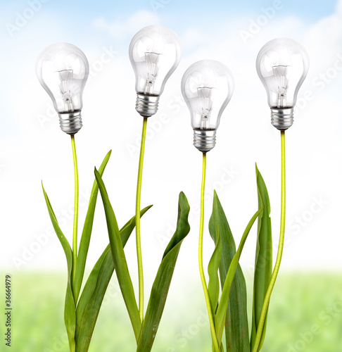Photo: Ecological energy Ecological energy