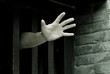 Let me out