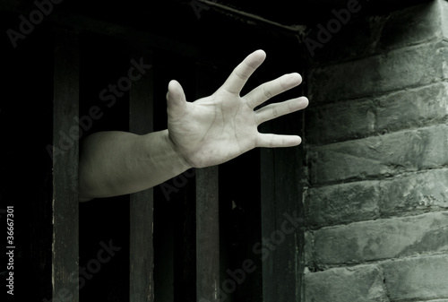 Photo: Let me out Let me out