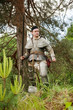 Knight in armour