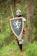 Knight in armor