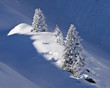 Die Schönheit des Winters