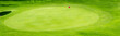 the green of a golf
