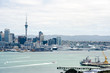 Auckland City New Zealand
