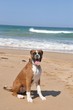 Life's a beach