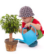 a boy with a watering-can