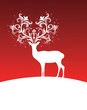 Deer.