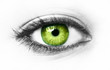 Green eye isolated
