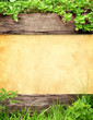 Summer background