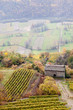vigneto con casolare