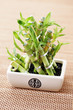Photo: green bamboo green bamboo