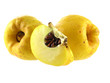 Photo: quince quince