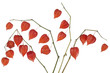 Red hearts set Red hearts set