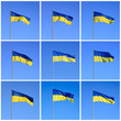 Ukrainian flag