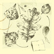 Hand-drawn autumn leaves.