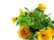 Foto: marigold marigold